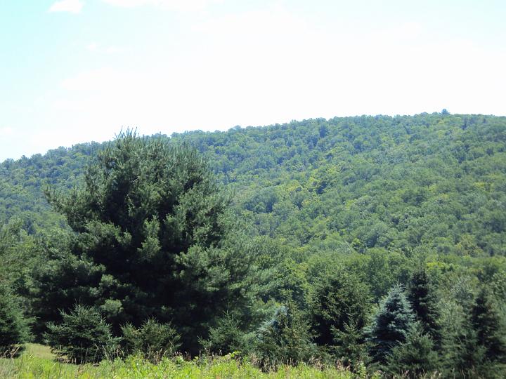 camp 015.JPG